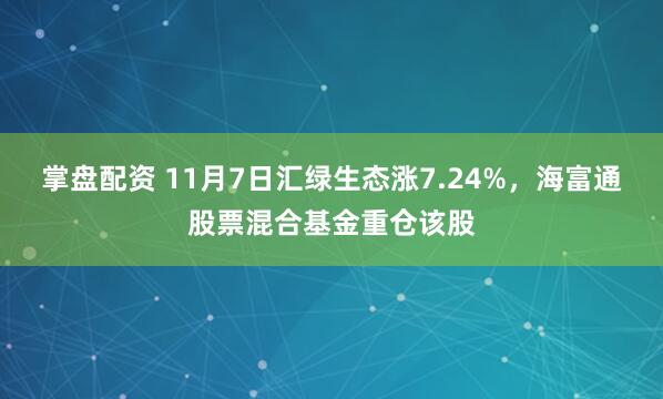 掌盘配资 11月7日汇绿生态涨7.24%,海富通股票混合基金重仓该股
