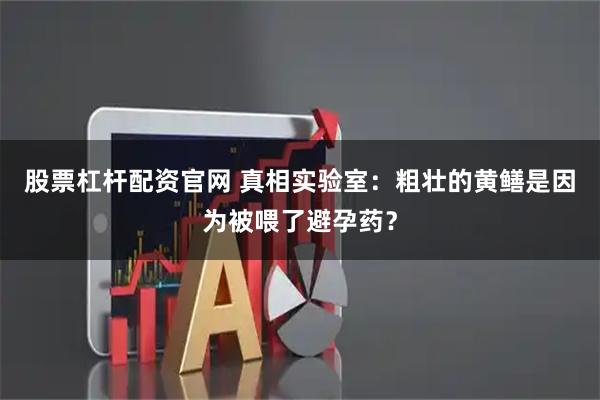 股票杠杆配资官网 真相实验室：粗壮的黄鳝是因为被喂了避孕药？
