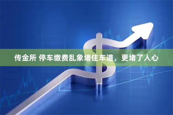 传金所 停车缴费乱象堵住车道，更堵了人心
