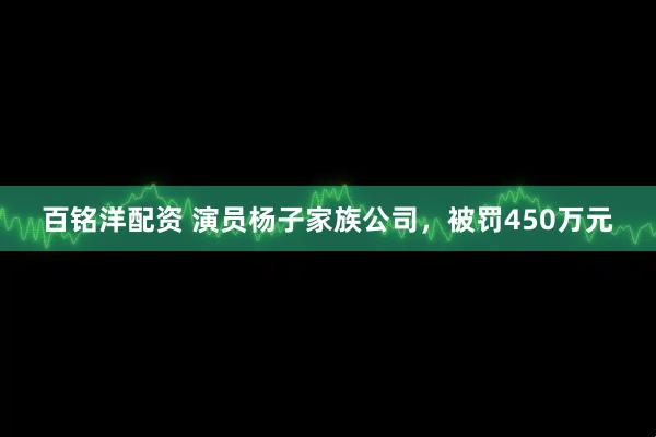 百铭洋配资 演员杨子家族公司,被罚450万元