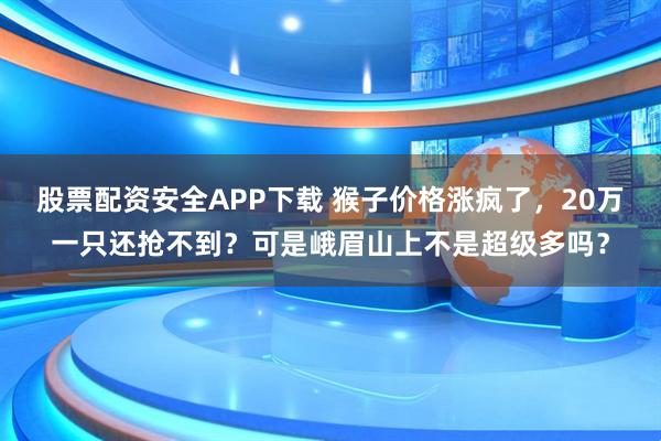 股票配资安全APP下载 猴子价格涨疯了，20万一只还抢不到？可是峨眉山上不是超级多吗？